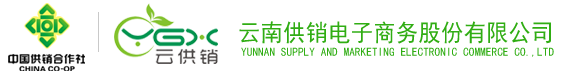 金年汇诚信至上电子商务股份有限公司